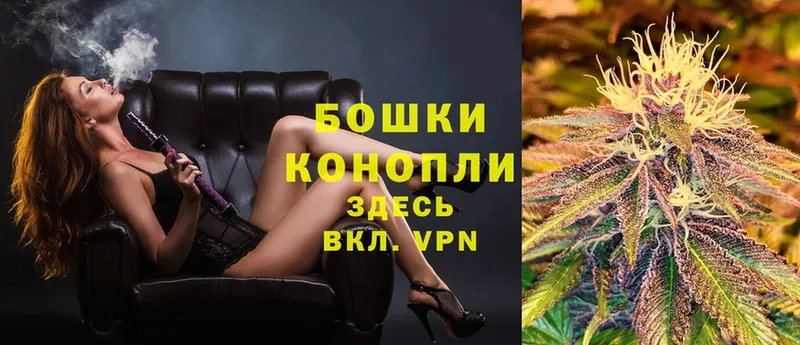 продажа наркотиков  blacksprut ТОР  Каннабис Bruce Banner  Покров 